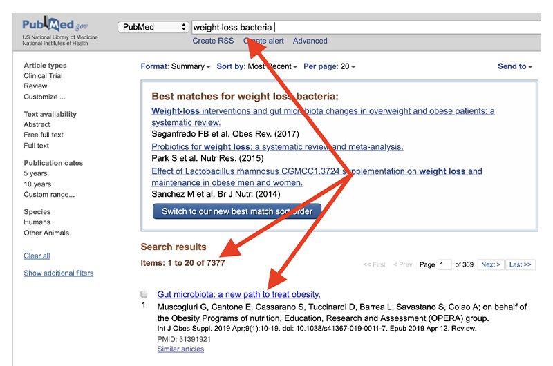 Weight loss bacteria.