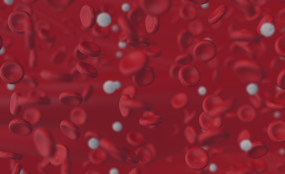 Day To Day Lifestyle.