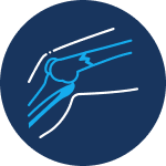 Osteoblasts are the builders.