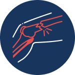 Osteoclasts are like the demolition crew.